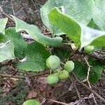 Profile Picture of 청미래 (@atmos0429) on Instagram