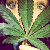 Profile Picture of Andrew Biersack (@andrewbiersack1797) on Youtube