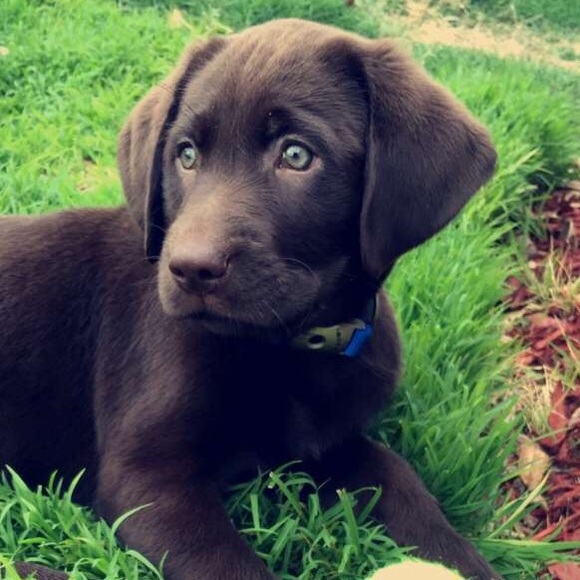 Profile Picture of Olivia Fladung (@fladung) on Poshmark