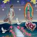 Profile Picture of Jose Roman Garcia (@jose.romangarcia.5264) on Facebook