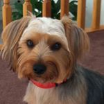 Profile Picture of Nancy Plumeri Tallent (@nancy.tallent.5) on Instagram