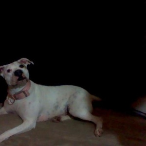 Profile Picture of Colin Dno (@150653380) on Myspace