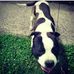 Profile Picture of Jamal Jordan (Bankroll Dunn Dunn) (@jamal.jordan.963) on Facebook