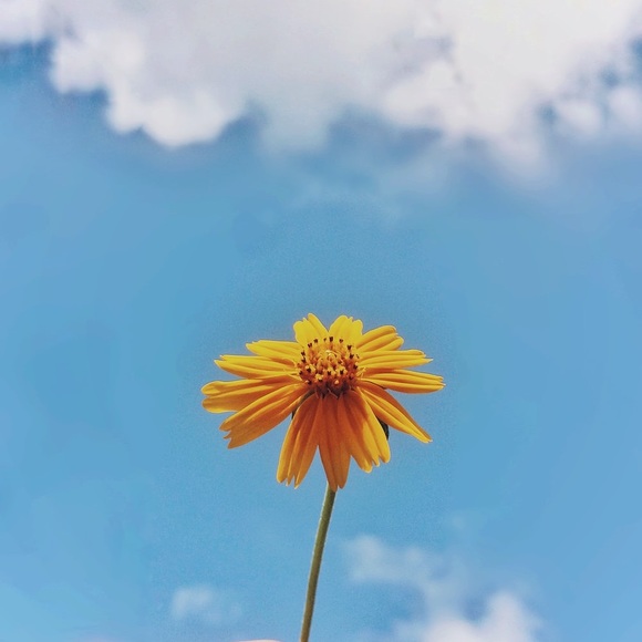 Profile Picture of Blasina Olowe (@blasinaolowe) on Poshmark