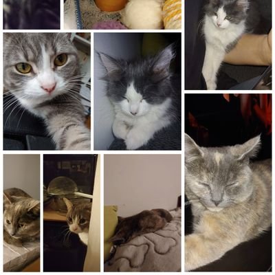 Profile Picture of Kim Raina (@KimRaina10) on Twitter