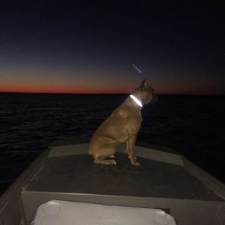 Profile Picture of Mary Benjamin (@mary.benjamin.714) on Facebook