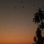 Jonathan Gatoni - Facebook Profile Picture of Jonathan Gatoni (@jonathan.gatoni.9) on Facebook