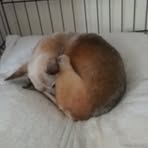 Profile Picture of Joseph Hedrick (@Joseph-Hedrick) on Facebook