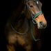 Profile Picture of Diyana Back (@diyana.back) on Facebook