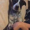 Profile Picture of Tyler Coy (@@tylercoy0) on Tiktok