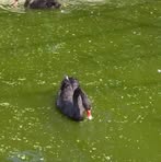 Profile Picture of Venella Kanna (@venella.kanna) on Facebook