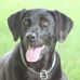 Profile Picture of Chad Stensrud (@chad.stensrud.5) on Facebook