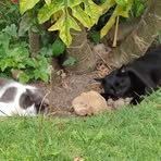 Profile Picture of Michael Barichara (@vetters13) on Facebook