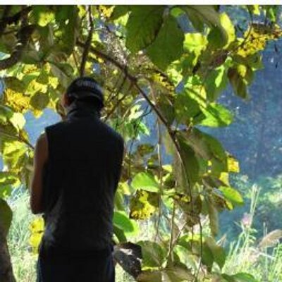 Profile Picture of Vincent Verma (@verma_vincent) on Twitter