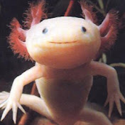 Profile Picture of Nathan Wilkerson (@nathanwilkerson6513) on Youtube