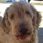 Profile Picture of Harry Gallway (@riparian_zone) on Instagram