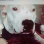 Profile Picture of christine janet hurst (@keaghr_love) on Instagram