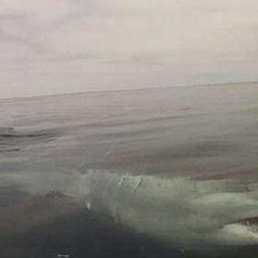 Profile Picture of Joseph Tucciarone (@JoeTucc26) on Twitter