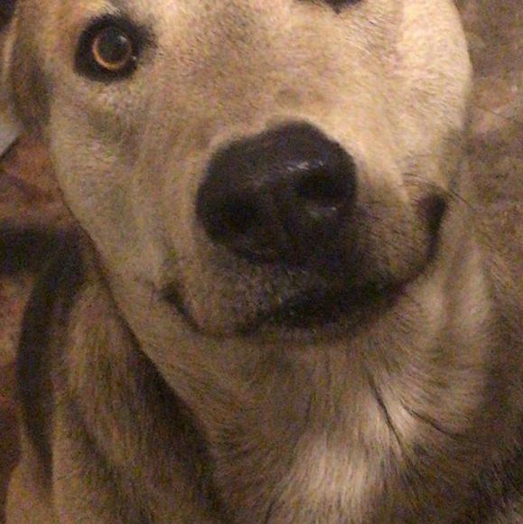 Daniela Salinas - Poshmark Profile Picture of Daniela Salinas (@daniela_s21) on Poshmark