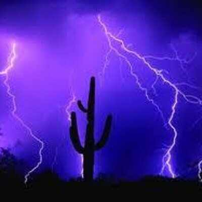 Profile Picture of Lori Lorenzen (@LorenzenLL) on Twitter