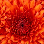 Profile Picture of Daniel Sharp (@danielsharp8073) on Youtube