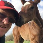 Profile Picture of Alan Irving (@berkypigs2008) on Instagram