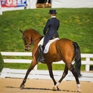 Profile Picture of Cassandra Todd Carraway (@cassandraleetodd) on Myspace