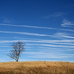 Profile Photo of Michael Emmons (kansas City, Missouri) (@michael emmons (kansas city, missouri)) on Flickr