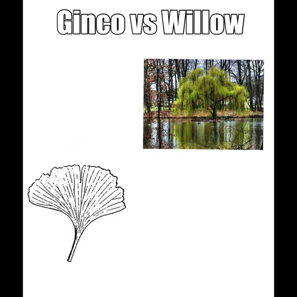 Profile Picture of Bigigguug Nvjugg (@krv8477bu) on Poshmark