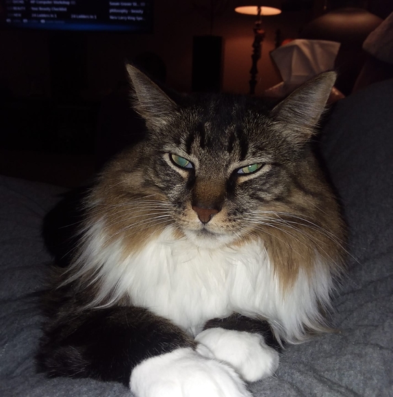 Profile Picture of Mac kenzie Mccann (@mclarke0000) on Poshmark