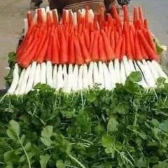 Ranvir Gill - Twitter Profile Picture of Ranvir Gill (@ranvirgill11) on Twitter