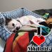 Profile Picture of Harold Pollitt (@harold.pollitt.58) on Facebook