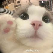 Profile Picture of Lucas Velez (@LucasVelez-kc8yq) on Youtube