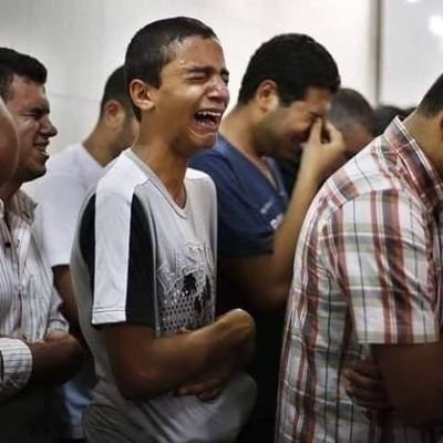 Profile Picture of Haneen Mohamed (@HaneenM46386618) on Twitter