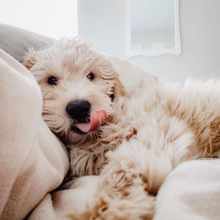 Profile Picture of Iris & summer (@iris.summer) on Tiktok