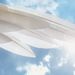Profile Picture of Lupe Sanchez Pena (@lupesanchezpena) on Pinterest