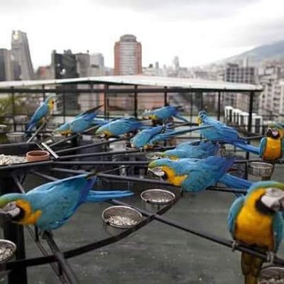 Profile Picture of Maria Violeta Cobian (@CobianVioleta) on Twitter