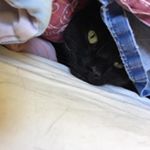 Profile Picture of Julia Sontag (@julia_x2204) on Instagram