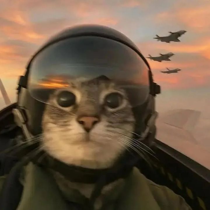 Profile Picture of randall (@ixurhzjzisidh) on Tiktok
