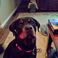 Profile Picture of Jason Mccubbin (@jason-mccubbin-6) on Quora