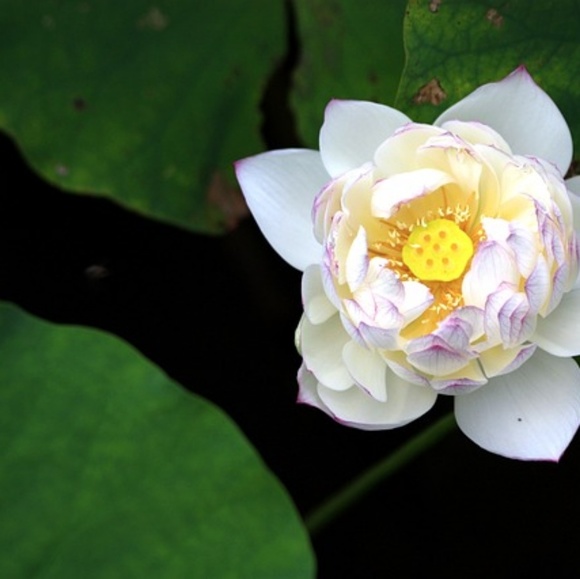 Profile Picture of Smith William (@williamsmith31) on Poshmark