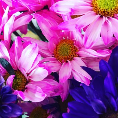 Profile Picture of Keisha Evans (@KeishaE34395089) on Twitter