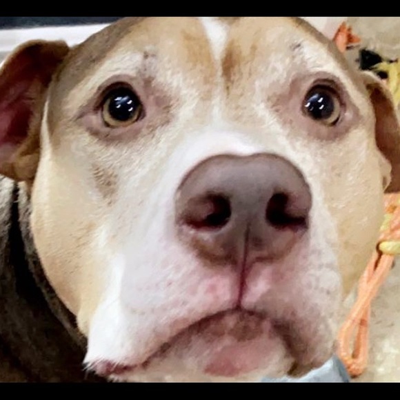 Profile Picture of Steven Hagewood (@stevenhagewood) on Poshmark