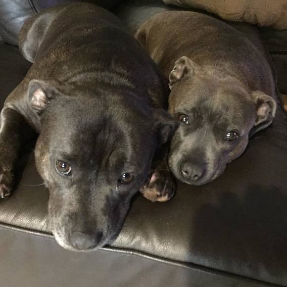 Profile Picture of Kim Markesic aitken (@kimmie0407) on Poshmark