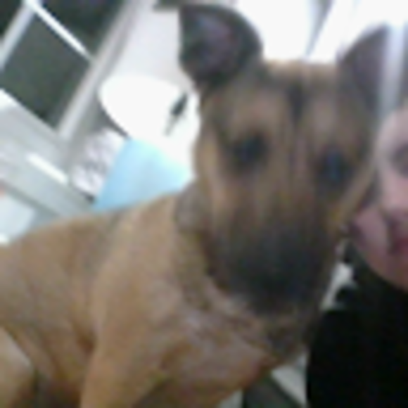 Profile Picture of Julia Fontes (@juliafontes919) on Poshmark