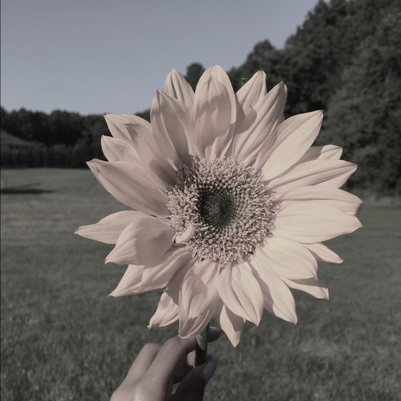 Profile Picture of Nadia Wilson (@nadlol_369) on Poshmark