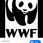 Profile Picture of Hannah Riggs (@wwf_fundraiser) on Instagram