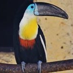 Profile Picture of Sateia Fernhurst (@sateia_fer) on Instagram