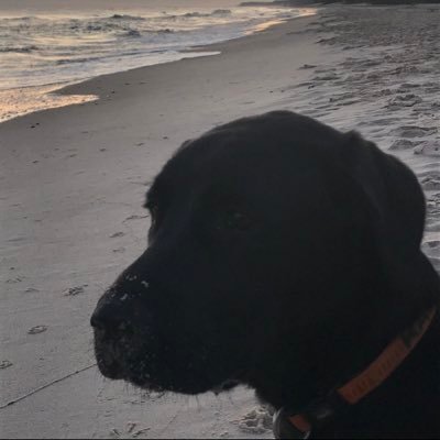 Profile Picture of Rafal.zalewski (@rafalzalewski77) on Twitter