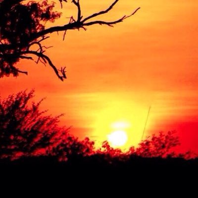 Profile Picture of Kyle (@EnderAssassinYT) on Twitter